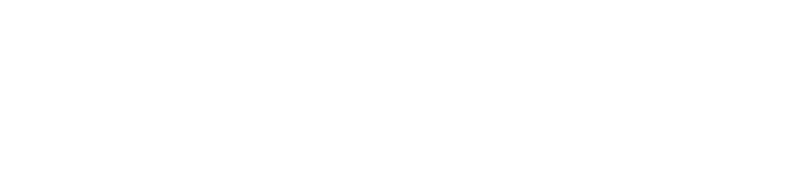 Pro/Business Consulting