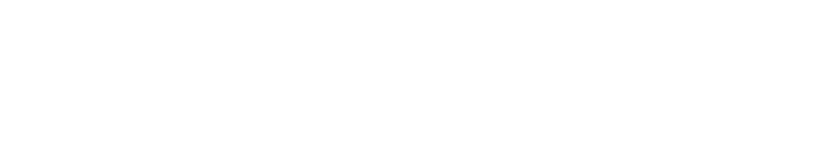 Pro/Business Consulting